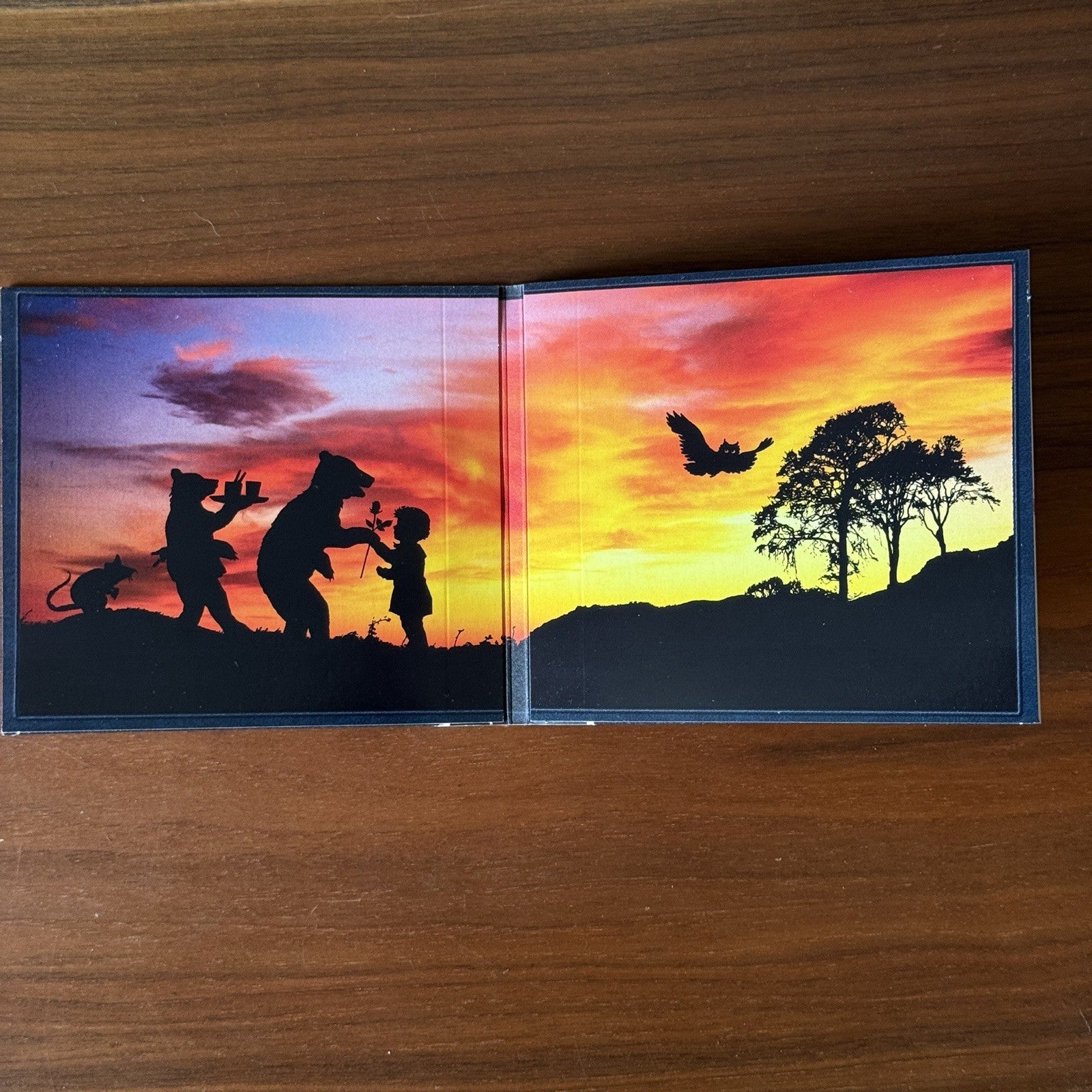 Cold Roses by Ryan Adams (CD, 2005)