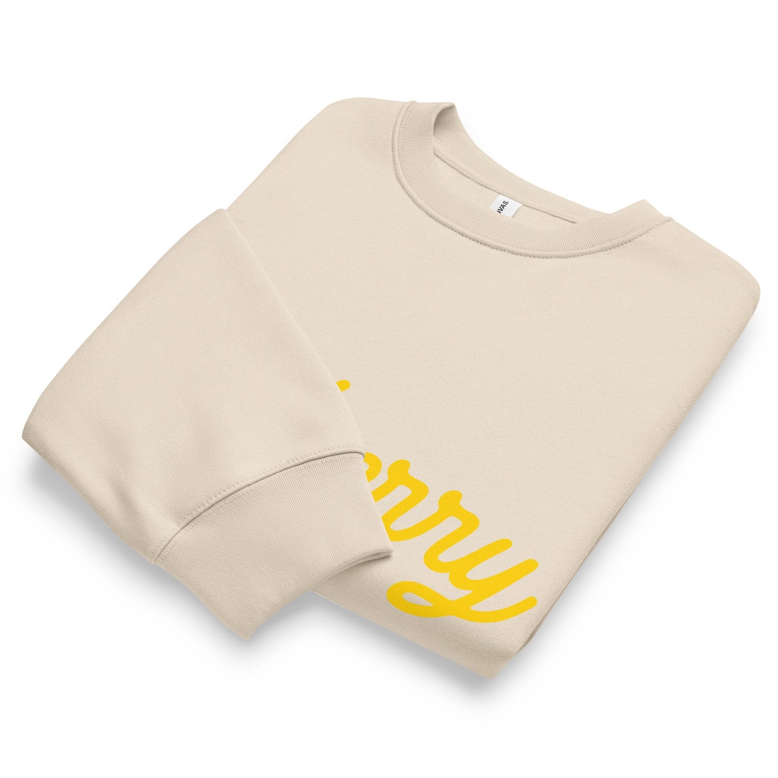 Dyberry Giddy – Oversized heavyweight sweatshirt NEW